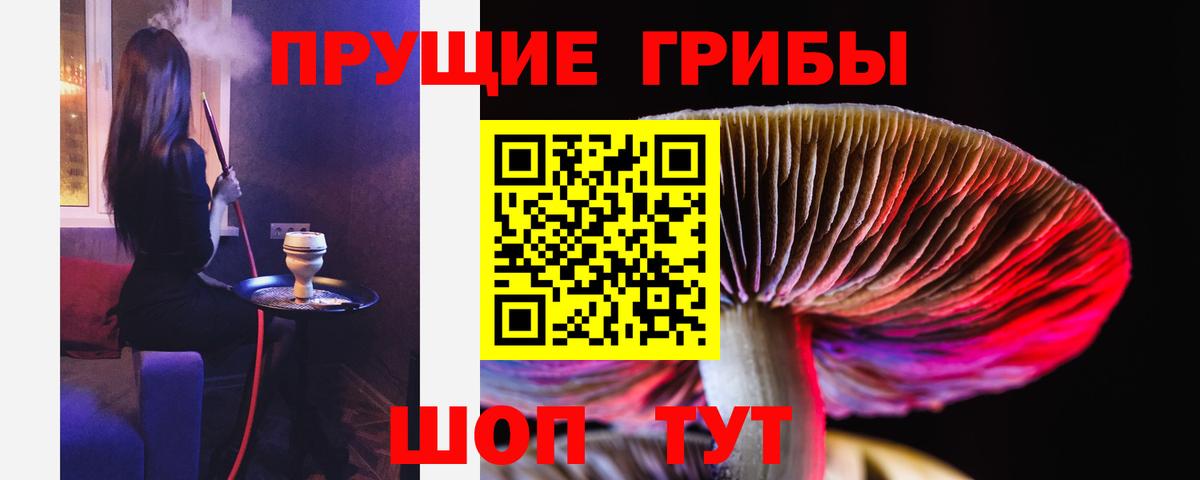 Псилоцибиновые грибы GOLDEN TEACHER Рубцовск