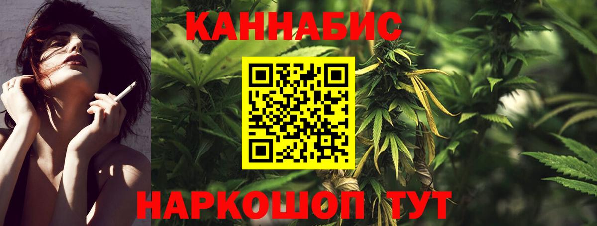 Канабис планчик  Бошки Шишки семена  Вход с VPN  Рубцовск  Конопля семена 